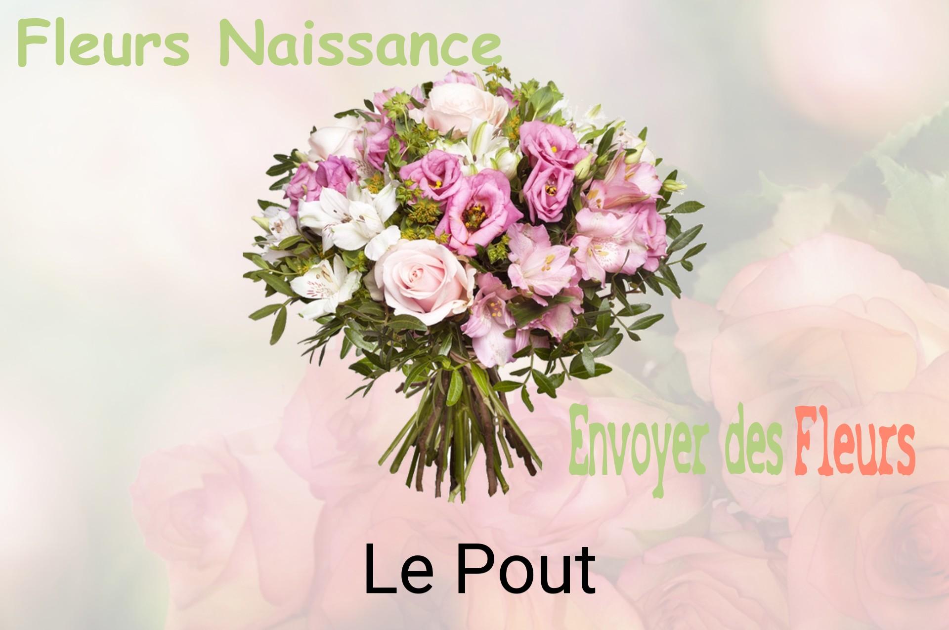 Bouquet de fleurs de naissance livré à Le Pout